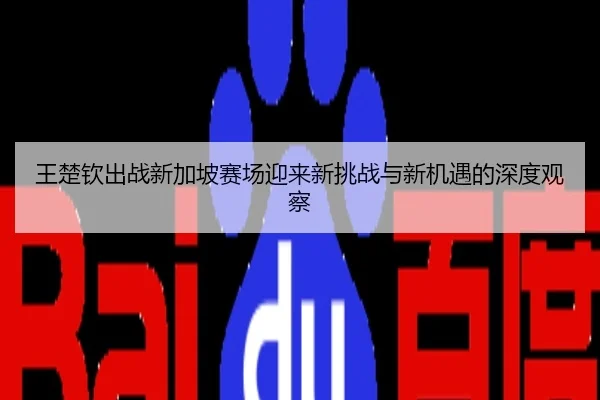 王楚钦出战新加坡赛场迎来新挑战与新机遇的深度观察